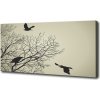 Moderný fotoobraz canvas na ráme Vrany na strome 100x50 cm Moderný fotoobraz canvas na ráme Vrany na strome 100x50 cm