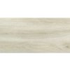 Dlažba imitácia dreva WOOD Birch 30 x 60 cm Dlažba imitácia dreva WOOD Birch 30 x 60 cm