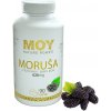 moy-vyzivovy-doplnok-morusa-620-mg-x-90-kapsul-nature-power moy-vyzivovy-doplnok-morusa-620-mg-x-90-kapsul-nature-power