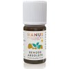 HANUS Benzoe absolute silica 10 ml HANUS Benzoe absolute silica 10 ml