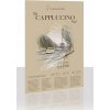 SKICÁR - HAHNEMÜHLE - THE CAPPUCCINO PAD - 120 GSM - 30 LISTOV | A5 SKICÁR - HAHNEMÜHLE - THE CAPPUCCINO PAD - 120 GSM - 30 LISTOV | A5
