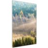 Vertikálny foto obraz akryl do obývačky Hmla nad lesom 50x100 cm Vertikálny foto obraz akryl do obývačky Hmla nad lesom 50x100 cm