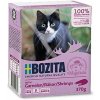 BOZITA Bozita kúsky v omáčke s krevetami 370 g BOZITA Bozita kúsky v omáčke s krevetami 370 g
