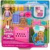 Barbie Transporter pre psíka s Chelsea
