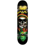 Speed Demons Rasta Skull Mob
