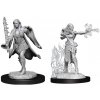 WizKids D&D Nolzur's Marvelous Miniatures Multiclass Warlock + Sorcerer Female