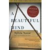 A Beautiful Mind A Beautiful Mind