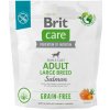 Brit Care Dog Grain-free Adult Large Breed - salmon a potato, 1kg Brit Care Dog Grain-free Adult Large Breed - salmon a potato, 1kg