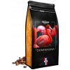Zrnková káva Arabica 100 % SKIMACOFFEE Dominikánska SkimaCoffee 1000 g Zrnková káva Arabica 100 % SKIMACOFFEE Dominikánska SkimaCoffee 1000 g