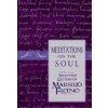 MEDITATIONS ON THE SOUL* MEDITATIONS ON THE SOUL*