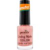 Provida Organics Living Nails COLOR Organic Nail Polish - 21 Silk Shimmer Provida Organics Living Nails COLOR Organic Nail Polish - 21 Silk Shimmer