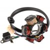 Zapaľovanie stator 6-cievkové - ATV AC Zapaľovanie stator 6-cievkové - ATV AC
