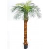 Umelá Phoenix palma, 170cm Umelá Phoenix palma, 170cm