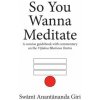 So You Wanna Meditate: A concise guidebook with commentary on the Vijnana Bhairava Tantra So You Wanna Meditate: A concise guidebook with commentary on the Vijnana Bhairava Tantra