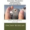 Racing Pigeons Advanced Techniques Racing Pigeons Advanced Techniques