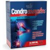 Adelle Davis Condro complex - lipozomálna kĺbová výživa 2 x 500 ml Adelle Davis Condro complex - lipozomálna kĺbová výživa 2 x 500 ml
