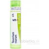 Teucrium Marum gra.1 x 4 g 5CH