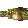 Sablio Obraz - 5-dílný Stromy - 100x60 cm Sablio Obraz - 5-dílný Stromy - 100x60 cm