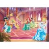 Fototapeta na stenu - FT2243 - Disney Princezny 152cm x 104cm - Vliesová fototapeta Fototapeta na stenu - FT2243 - Disney Princezny 152cm x 104cm - Vliesová fototapeta