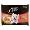 Cesar s kuracím a zeleninou & s hovädzím a mrkvou v omáčke 4 x 100 g Cesar s kuracím a zeleninou & s hovädzím a mrkvou v omáčke 4 x 100 g