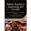 Salute Equina e Anatomia del Cavallo: Guida Completa per il Benessere del Destriero Salute Equina e Anatomia del Cavallo: Guida Completa per il Benessere del Destriero