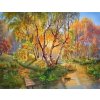 Norimpex diamantové maľovanie Brezy nad potokom 30 x 40 cm Norimpex diamantové maľovanie Brezy nad potokom 30 x 40 cm