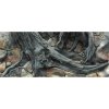 Diversa 3D pozadie Amazon 100 x 60 cm