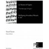 Le Nozze di Figaro: The Marriage of Figaro (Wolfgang Amadeus Mozart)(Brožovaná) Le Nozze di Figaro: The Marriage of Figaro (Wolfgang Amadeus Mozart)(Brožovaná)