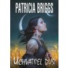 Uchvatitel duší - Patricia Briggs Uchvatitel duší - Patricia Briggs