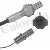 CALORSTAT by Vernet Lambda sonda LS110007 CALORSTAT by Vernet Lambda sonda LS110007