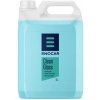 Čistič okien Ewocar CleanGlass - Glass Cleaner (5 l) Čistič okien Ewocar CleanGlass - Glass Cleaner (5 l)