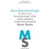 Sono-fenomenologie - Martin Nitsche