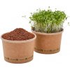 TINY GREENS Žerucha - BIO semienka na klíčenie a microgreens TINY GREENS Žerucha - BIO semienka na klíčenie a microgreens