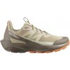 Dámske outdoorové topánky Salomon ELIXIR ACTIV W béžová L47457600 - EUR 38 2/3 | UK 5,5 | US 7 Dámske outdoorové topánky Salomon ELIXIR ACTIV W béžová L47457600 - EUR 38 2/3 | UK 5,5 | US 7