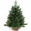 LAALU Vianočný stromček jedľa Bernard v kvetináči 60 cm s LED OSVETLENÍM LAALU Vianočný stromček jedľa Bernard v kvetináči 60 cm s LED OSVETLENÍM