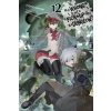 Is It Wrong to Try to Pick Up Girls in a Dungeon?, Vol. 12 (light novel) Is It Wrong to Try to Pick Up Girls in a Dungeon?, Vol. 12 (light novel)