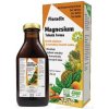 SALUS Floradix Magnesium 250 ml SALUS Floradix Magnesium 250 ml