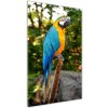 Vertikálny fotoobraz na skle Papagáj Ara 50x100 cm Vertikálny fotoobraz na skle Papagáj Ara 50x100 cm