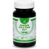 Natural Pharm Graviola, Cat´s Claw, B17 20 mg tablety 100 ks Natural Pharm Graviola, Cat´s Claw, B17 20 mg tablety 100 ks