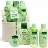 IDC Institute Aloe Vera darčeková kazeta 1 ks, Akcia IDC Institute Aloe Vera darčeková kazeta 1 ks, Akcia