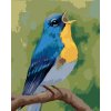 Diamondi Diamantové maľovanie - MODRÝ VTÁČIK (MYROSLAVA VOLOSCHUK) Rámovanie: bez rámu a bez vypnutia plátna, Rozmer: 40x50 cm Diamondi Diamantové maľovanie - MODRÝ VTÁČIK (MYROSLAVA VOLOSCHUK) Rámovanie: bez rámu a bez vypnutia plátna, Rozmer: 40x50 cm