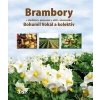 Brambory - Bohumil Vokál Brambory - Bohumil Vokál