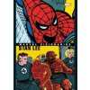 Marvel Visionaries Stan Lee - autor neuvedený Marvel Visionaries Stan Lee - autor neuvedený