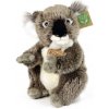 Rappa Plyšová koala 22 cm ECO-FRIENDLY Rappa Plyšová koala 22 cm ECO-FRIENDLY