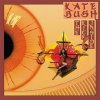The Kick Inside - Kate Bush The Kick Inside - Kate Bush