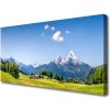 Obraz na plátne Pole stromy hory príroda 100x50 cm Obraz na plátne Pole stromy hory príroda 100x50 cm