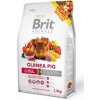 Brit Animals Guinea Pig Complete 1,5kg Brit Animals Guinea Pig Complete 1,5kg