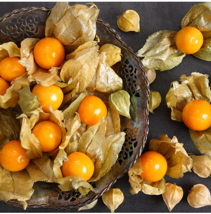 Machovka peruánska - Physalis peruviana - semienka - 10 ks