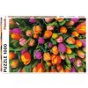 PIATNIK Tulipány 1000 dielov PIATNIK Tulipány 1000 dielov