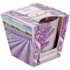 BARTEK Lavender Kiss 115 g – sviečka v skle BARTEK Lavender Kiss 115 g – sviečka v skle
